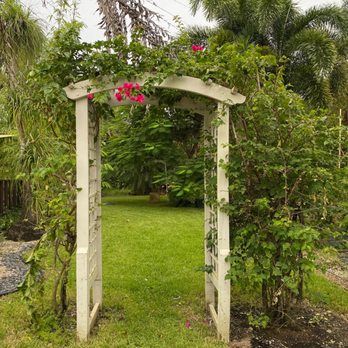 Bamboo And Orchid Gardens - Landscaping Near Me - Davie, Florida Bamboo And Orchid Gardens - Landscaping Near Me - Davie, Florida