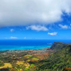 Kuliouou Ridge Trail