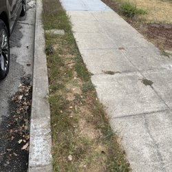 Joe Bob Garden Service - Sidewalk before