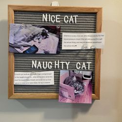 Riverside Cat Hospital