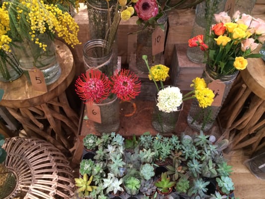 Homecoming by null Homecoming by null