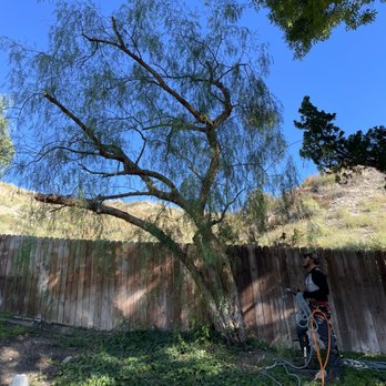 Ceron Tree Services - Tree Services Near Me