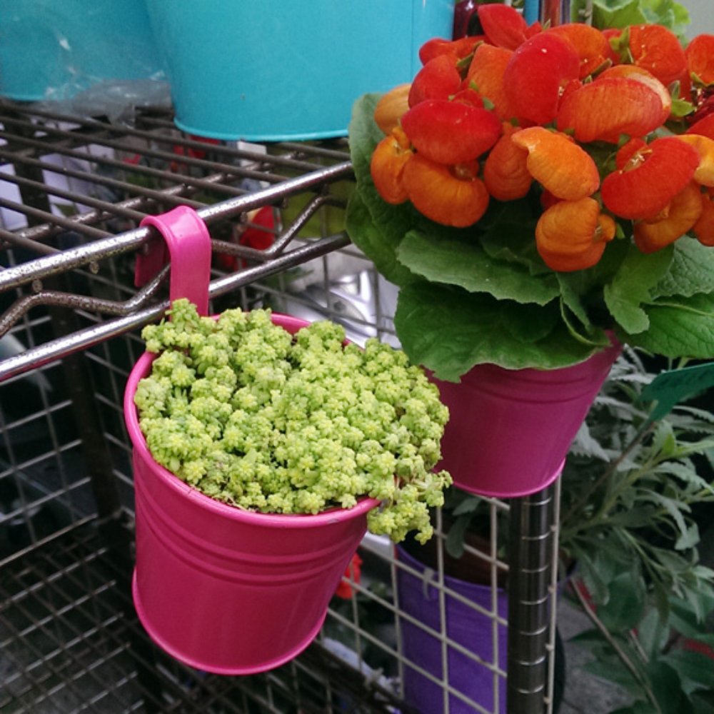 The Best 10 Nurseries & Gardening near 正大種子行in 士林區, 台北市- Yelp