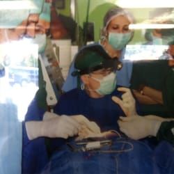 Timothy P Carey, MD