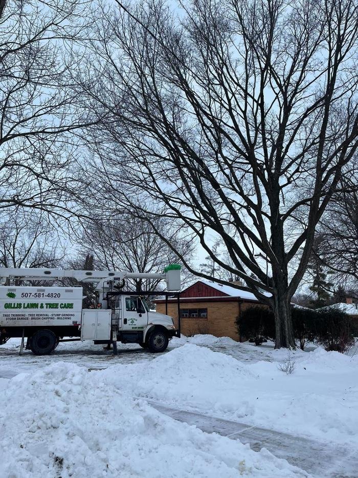 GILLIS LAWN AND TREE CARE Updated September 2024 13 Photos