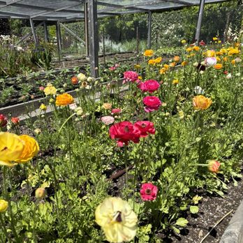 Filoli - Botanical Gardens Near Me - Woodside, California