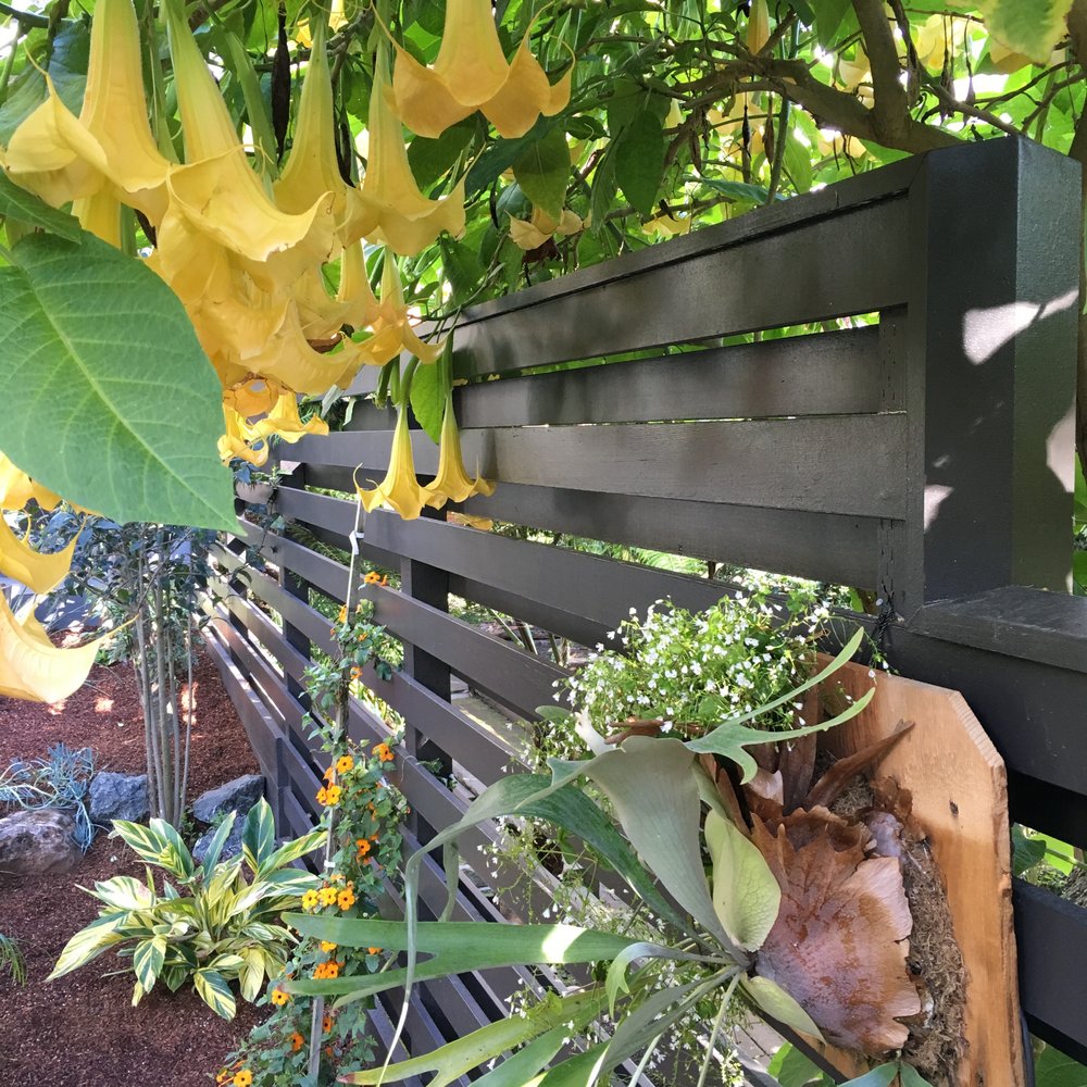Flourish Gardening - Landscaping Near Me - San Francisco, California Flourish Gardening - Landscaping Near Me - San Francisco, California