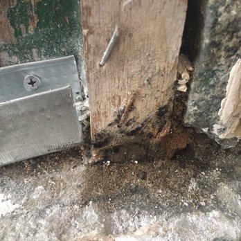 Harris Mill Lofts - Black mold on door frames near inside of building - Apartments Near Me - Coventry, Rhode Island Harris Mill Lofts - Black mold on door frames near inside of building - Apartments Near Me - Coventry, Rhode Island