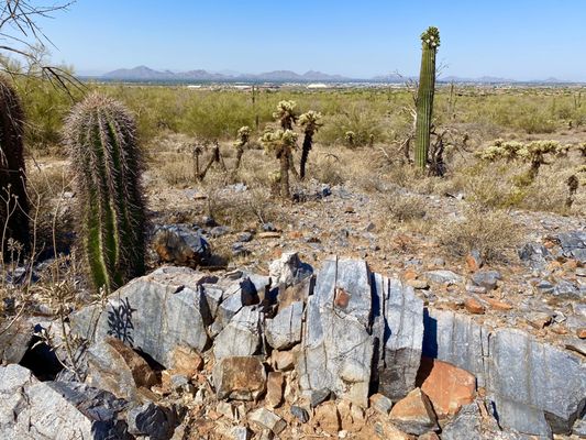 Gateway Trailhead - McDowell Sonoran Preserve by null