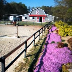 Bay Creek Farm - spring flowers in bloom