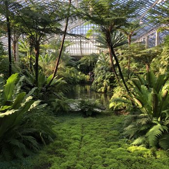 Garfield Park Conservatory - Parks Near Me - Chicago, Illinois