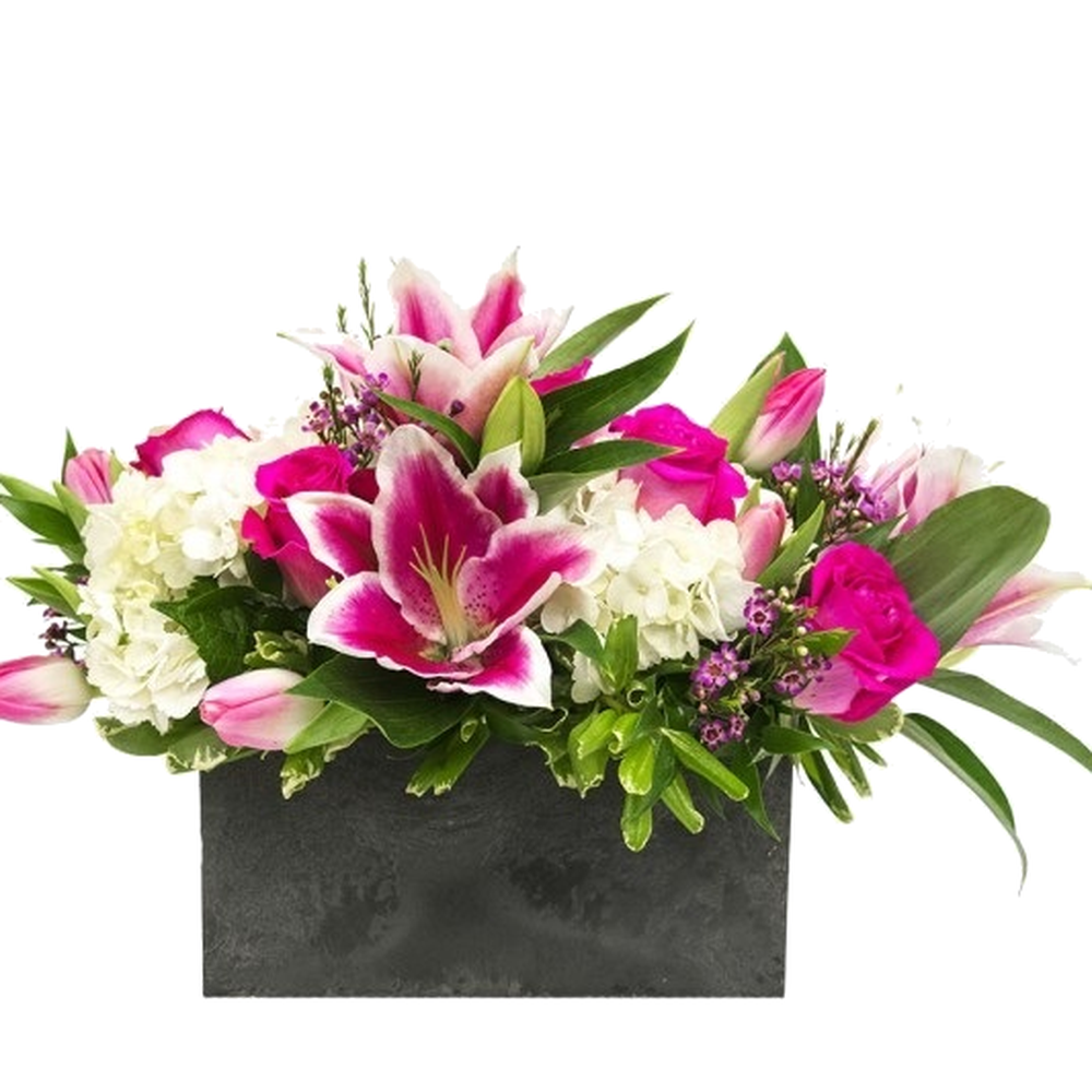 Olney Md Flowers Best Flower Site