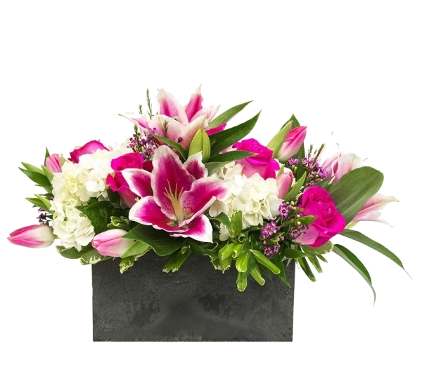 JOHNSON’S FLORIST & GARDEN CENTERS Updated August 2024 87 Photos