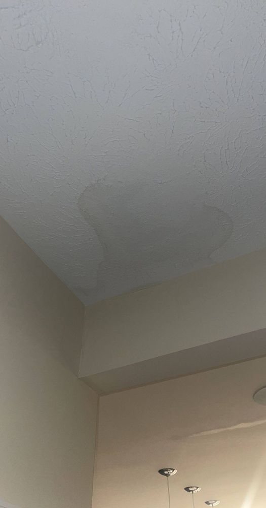 Slide of 911 Restoration of Virginia Peninsula