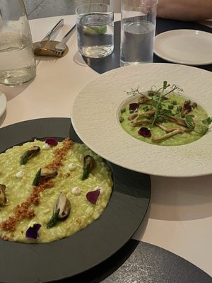 Stella's Cucina by null