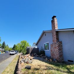 Blue Oak Tree Service - Tree removed