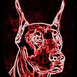 Doberman Tattoo