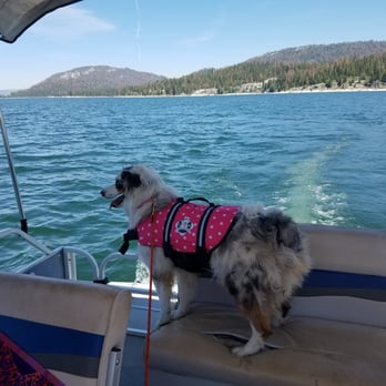 Camp Edison - Campgrounds Near Me - Shaver Lake, California
