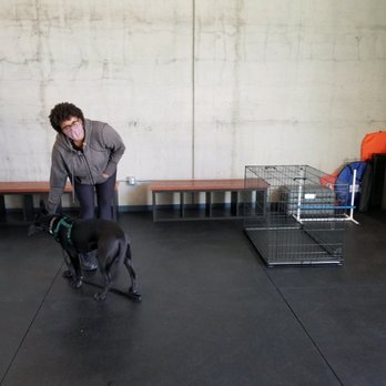 Itchytail Pet Service - Training facility - Pet Training Near Me - Oakland, California Itchytail Pet Service - Training facility - Pet Training Near Me - Oakland, California