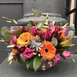 Dahlia’s Garden