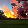 Ash Brook Golf Course gift card