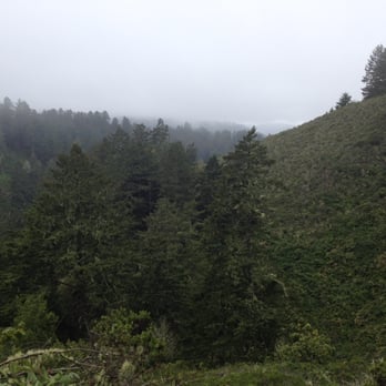 Purisima Creek Trail - Purisima - Hiking Near Me - Half Moon Bay, California Purisima Creek Trail - Purisima - Hiking Near Me - Half Moon Bay, California