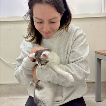 ASAP Animal Shelter Assistance Program - Animal Shelters Near Me - Santa Barbara, California ASAP Animal Shelter Assistance Program - Animal Shelters Near Me - Santa Barbara, California