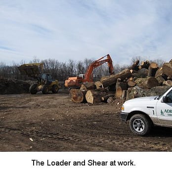 Adirondack Tree Experts - Tree Services Near Me - Beltsville, Maryland