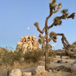 Ryan Campground