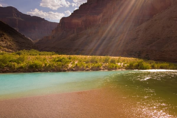 Grand Canyon Expeditions by null