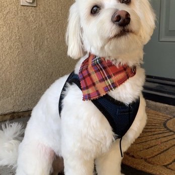 Barks & Bones Boutique - Pet Groomers Near Me - Rancho Cucamonga, California Barks & Bones Boutique - Pet Groomers Near Me - Rancho Cucamonga, California