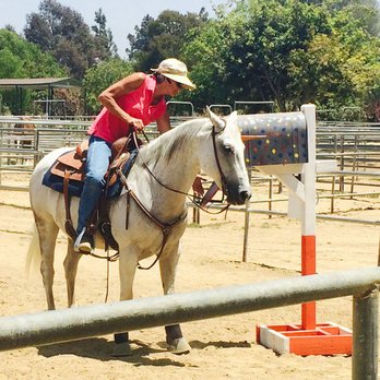 Camarillo Performance Horses - Horseback Riding Near Me - New Braunfels, Texas Camarillo Performance Horses - Horseback Riding Near Me - New Braunfels, Texas