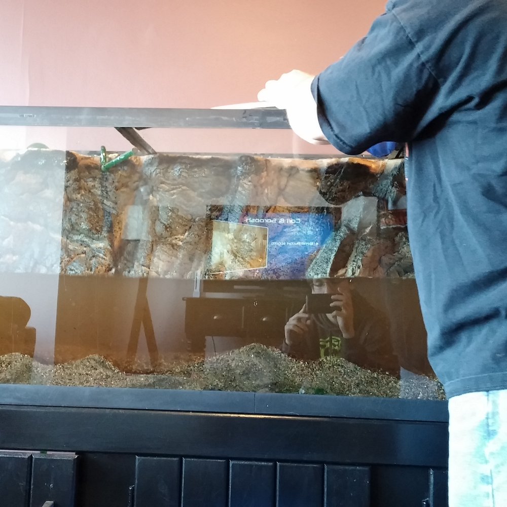 Marine Concepts - Taking it down. - Aquarium Services Near Me - Wheeling , Illinois