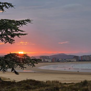 Plage de La Salvé - Beaches Near Me