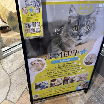 Cat Cafe Moff - Themed Cafes Near Me - Honolulu, Hawaii