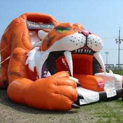 Outrageous Adventures - Sabre Tooth Giant Slide