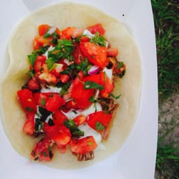 Shredded Pork Taco Shredded Pork Taco