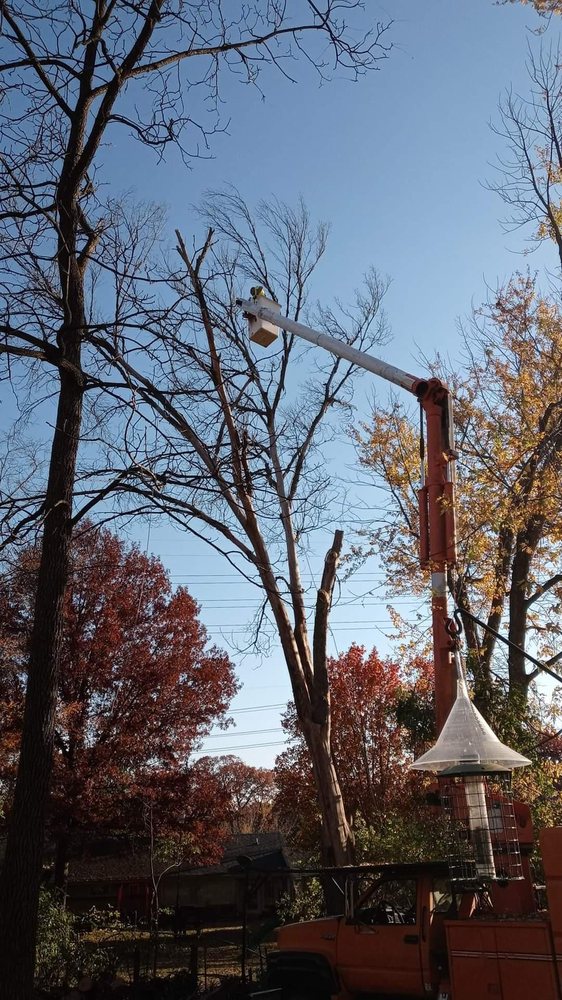 Dorian Tree Care - tree service in St. Louis, MO