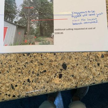 Gold Tooth Gorilla Tree Service - Lower line paid for, higher line found as. - Tree Services Near Me - Lake Oswego, Oregon Gold Tooth Gorilla Tree Service - Lower line paid for, higher line found as. - Tree Services Near Me - Lake Oswego, Oregon