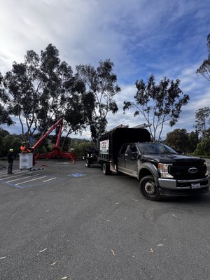 Pena Tree Service on Yelp