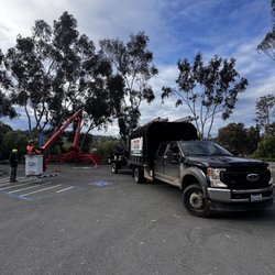 Pena Tree Service