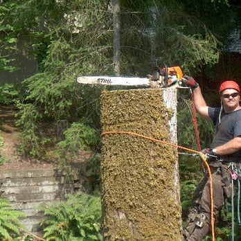 Kings Trees - Tree Services Near Me - Duvall, Washington Kings Trees - Tree Services Near Me - Duvall, Washington