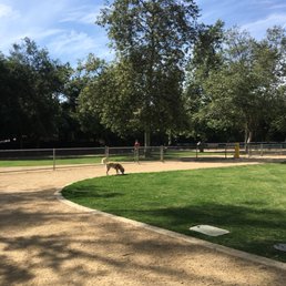 My pup wandering the spacious park! My pup wandering the spacious park!