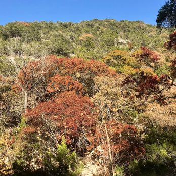 Lost Maples State Park - Fall foliage - Parks Near Me - Vanderpool, Texas Lost Maples State Park - Fall foliage - Parks Near Me - Vanderpool, Texas