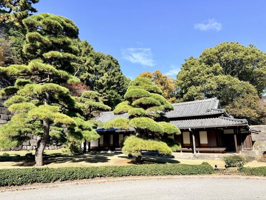 Imperial Palace East National Gardens by null