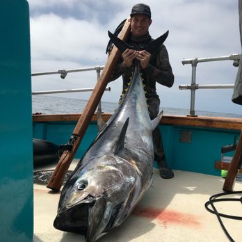 Lineage Charters - Newly installed refrigerator fish holds require no ice and keep the meat sushi grade cold - Fishing Near Me - San Diego, California Lineage Charters - Newly installed refrigerator fish holds require no ice and keep the meat sushi grade cold - Fishing Near Me - San Diego, California