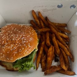 Burger and seasoned fries.