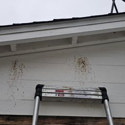 Carpenter bee removal! Carpenter bee removal!