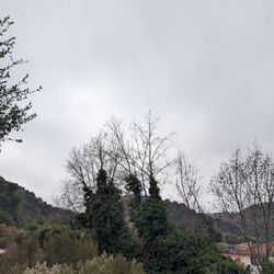 Hacienda Hills Trails