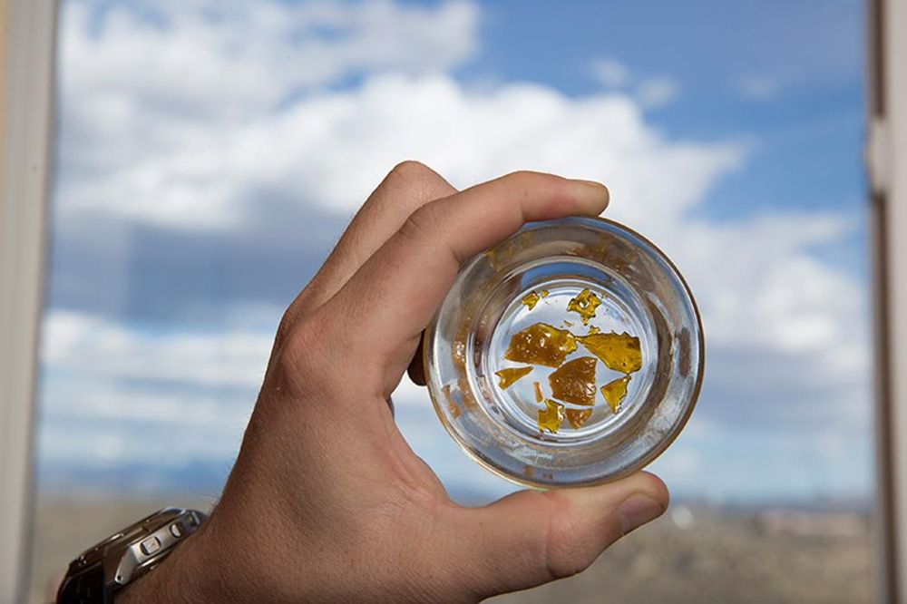 THE HERBAL ALTERNATIVE Updated September 2024 40 Photos & 15